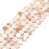 Natural Freshwater Shell Beads Strands SHEL-H002-03G-1