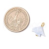 Craft Style Acrylic Fish Shape Pendants PALLOY-JF03923-02-2