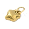 304 Stainless Steel Charms STAS-P391-01B-G-2