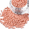 Glass Seed Beads SEED-S060-A-F414-1