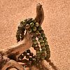 Natural Unakite Bead Stretch Bracelets X-BJEW-K212-A-006-5