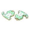 Alloy Enamel Pendants FIND-C037-20G-01-2