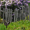 Acrylic Garden Stake AJEW-WH0364-012-5
