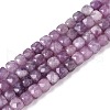 Natural Lepidolite/Purple Mica Stone Beads Strands G-N342-139-1