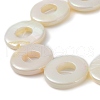 Natural Freshwater Shell Dyed Beads Strands BSHE-P033-01A-4