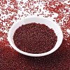 MIYUKI Round Rocailles Beads SEED-X0054-RR0304-2