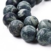 Frosted Natural Kambaba Jasper Beads Strands G-M272-14-10mm-5