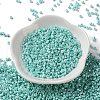 Baking Paint Glass Seed Beads X-SEED-S042-15A-09-2