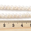 Natural Cultured Freshwater Pearl Beads Strands PEAR-C003-17C-5