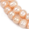 Natural Cultured Freshwater Pearl Beads Strands PEAR-I007-07Z-02B-4