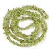 Natural Peridot Beads Strands G-G0003-B27-3