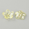 Transparent Acrylic Beads MACR-CJC0004-05E-1