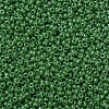 MIYUKI Round Rocailles Beads SEED-X0054-RR0431-2