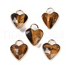 Natural Tiger Eye Faceted Pendans KK-L218-005G-01-1
