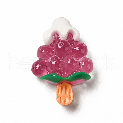 Translucent Resin Imitation Food Decoden Cabochons CRES-A052-01E-1