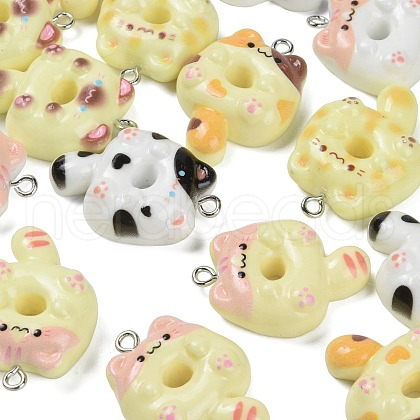 Resin Pendants FIND-K022-03P-1