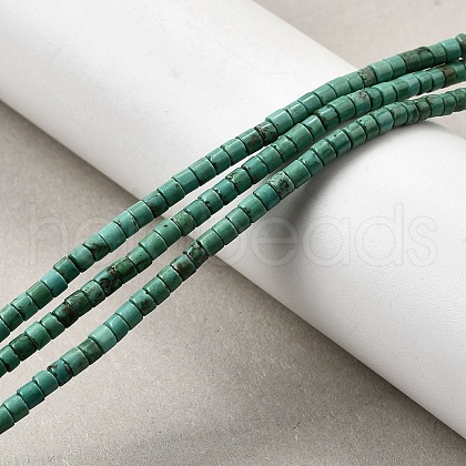 Natural Howlite Beads Strands G-F791-A01-1