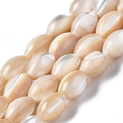 Natural Trochid Shell/Trochus Shell Beads Strands X-SSHEL-S266-021B-02-1