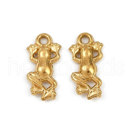304 Stainless Steel Charms STAS-F317-12G-1