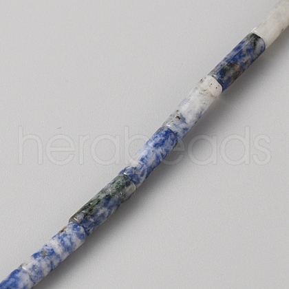 Natural Blue Spot Jasper Beads Strands G-WH0035-01D-1