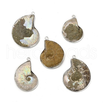 Natural Conch Fossil Pendants BSHE-E025-03P-1