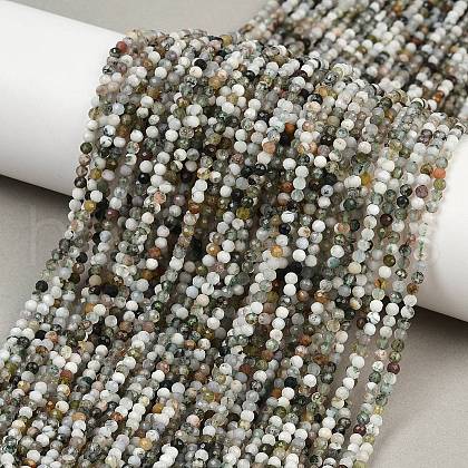 Natural Moss Agate Beads Strands G-RM2025-A33-2mm-1