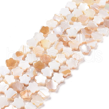 Natural Freshwater Shell Beads Strands SHEL-H002-03G-1