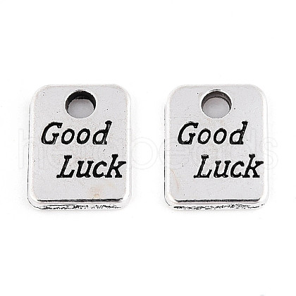 Tibetan Style Alloy Charms TIBE-N013-03AS-1
