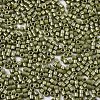 11/0 Grade A Baking Paint Glass Seed Beads SEED-S030-1037-2
