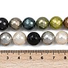 Faceted Round Shell Pearl Beads Strands BSHE-XCP0001-53-5
