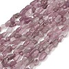 Natural Rose Quartz Beads Strands G-Q060-D11-2