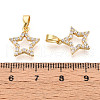 Brass Micro Pave Cubic Zirconia Charms KK-N257-62G-3