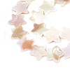 Natural Freshwater Shell Beads Strands SSHEL-N040-18-3