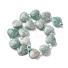 Natural Amazonite Beads Strands G-P570-E15-01-3
