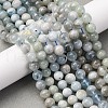 Natural Aquamarine Beads Strands G-P342-11-8mm-AB-02-2