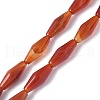 Dyed & Heated Natural Carnelian Beads Strands G-Q019-A03-2