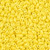 Baking Paint Glass Seed Beads SEED-T006-03C-2