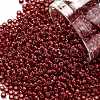 TOHO Round Seed Beads X-SEED-TR11-0025C-1