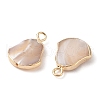 Natural Trochous Shell Pendants SHEL-P017-11G-2