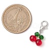 Glass Cherry Pendant Decoration HJEW-JM02593-3