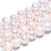 Natural Cultured Freshwater Pearl Beads Strands PEAR-N013-17N-01-5