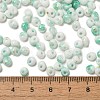 Baking Paint Glass Seed Beads X1-SEED-F006-01A-08-4