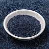 MIYUKI Round Rocailles Beads X-SEED-G009-RR0346-2