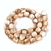 Natural Trochid Shell/Trochus Shell Beads Strands SSHEL-N040-14-2