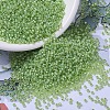 MIYUKI Round Rocailles Beads SEED-X0054-RR0676-4