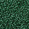 TOHO Round Seed Beads X-SEED-TR11-0024BF-2