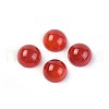 Natural Carnelian Cabochons G-F608-04C-05-1