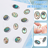 BENECREAT 10Pcs Natural Paua Shell Cabochons FIND-BC0005-54-4