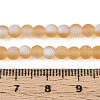Frosted Transparent Glass Beads Strands GLAA-T032-T4mm-MBB08-4