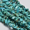 Chips Synthetic Turquoise Beads Strands X-G-N0134-08A-1